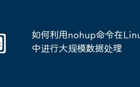 如何利用nohup命令在Linux中进行大规模数据处理