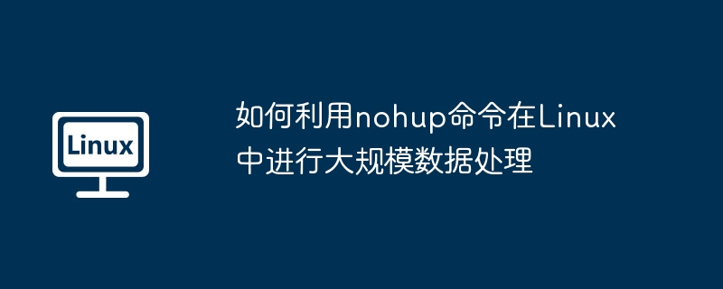 如何利用nohup命令在linux中进行大规模数据处理