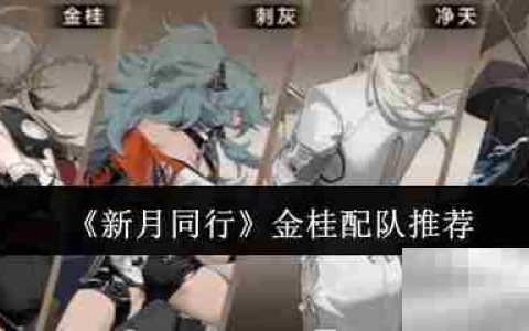 《新月同行》金桂配队推荐
