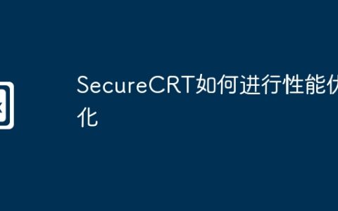 SecureCRT如何进行性能优化