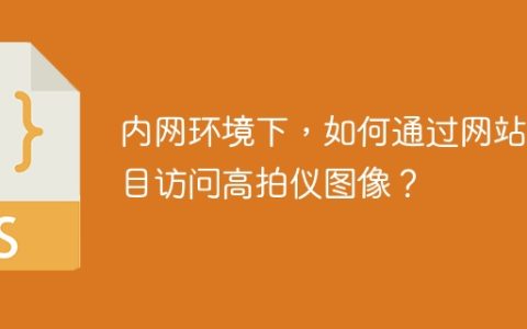 内网环境下，如何通过网站项目访问高拍仪图像？