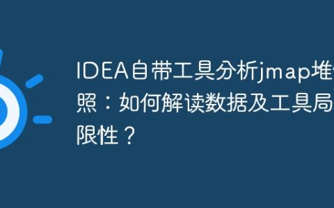 IDEA自带工具分析jmap堆快照：如何解读数据及工具局限性？