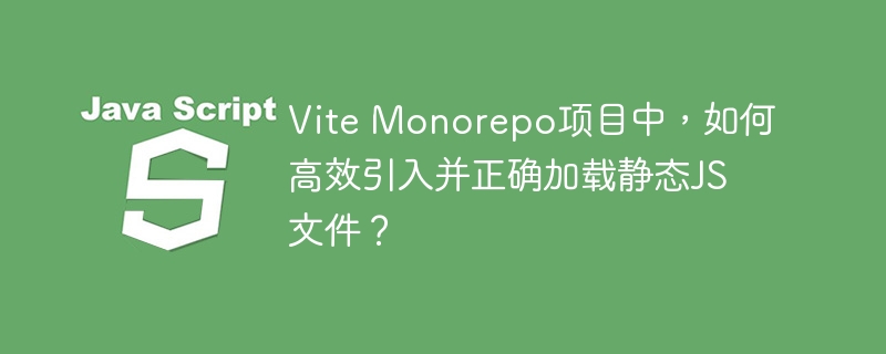 vite monorepo项目中,如何高效引入并正确加载静态js文件?