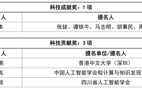 2024年度吴文俊人工智能科学技术奖奖励公告