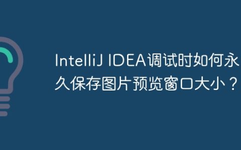 IntelliJ IDEA调试时如何永久保存图片预览窗口大小？