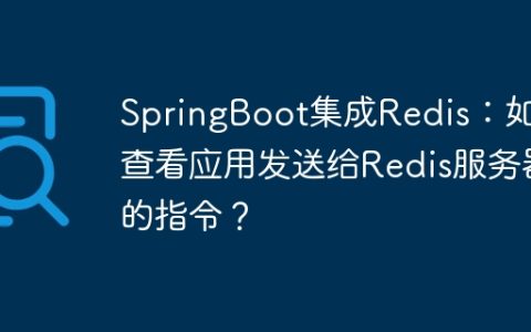 SpringBoot集成Redis：如何查看应用发送给Redis服务器的指令？