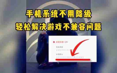 Win11为什么不能运行孤岛惊魂3？如何解决兼容性问题？