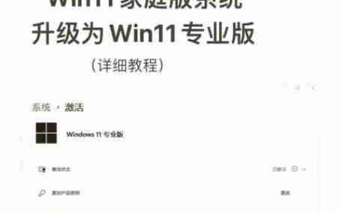 Win8.1升级到Win11安全吗？升级步骤详解！