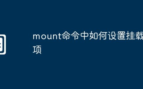 mount命令中如何设置挂载选项