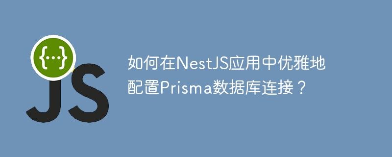 如何在nestjs应用中优雅地配置prisma数据库连接?