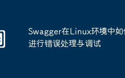 Swagger在Linux环境中如何进行错误处理与调试