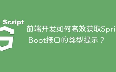 前端开发如何高效获取Spring Boot接口的类型提示？