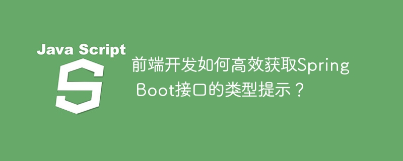 前端开发如何高效获取spring boot接口的类型提示？