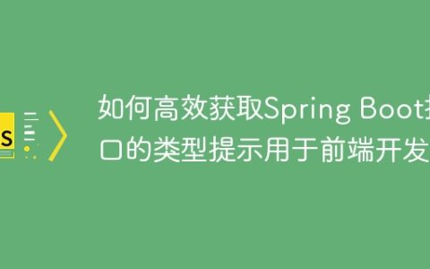 如何高效获取Spring Boot接口的类型提示用于前端开发？