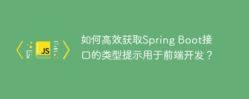 如何高效获取spring boot接口的类型提示用于前端开发?