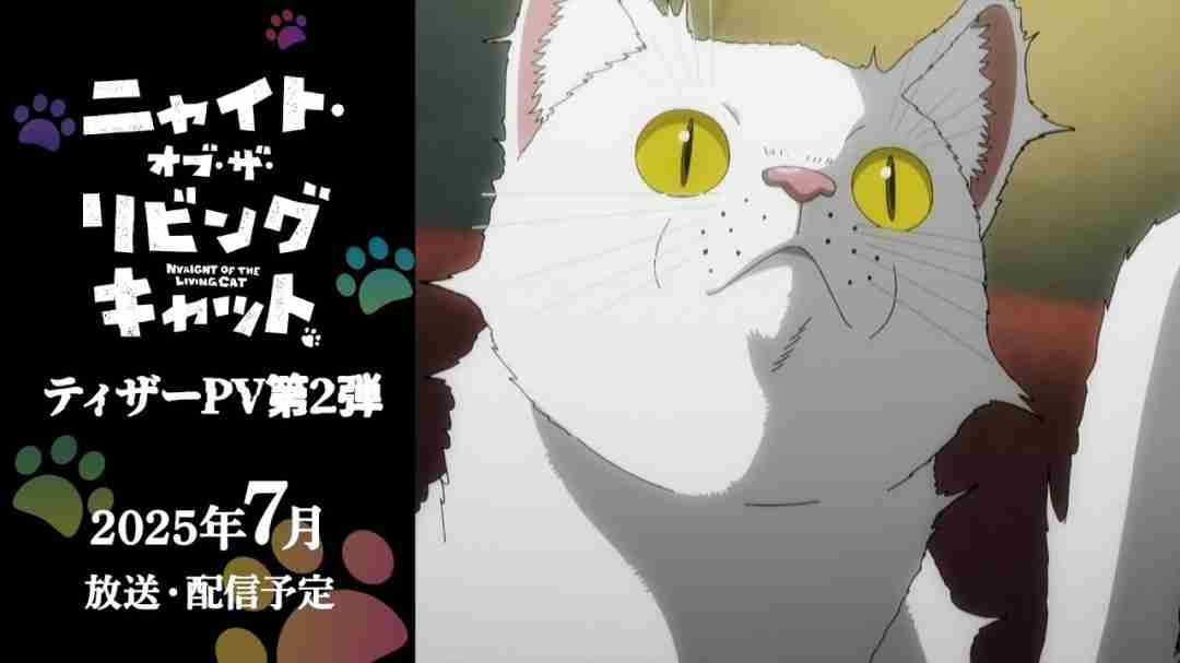 喵趣横生!《活尸猫之夜》动画化倒计时,猫咪统治世界的奇妙冒险即将开启!