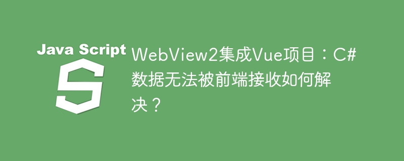 WebView2集成Vue项目:C#数据无法被前端接收如何解决?