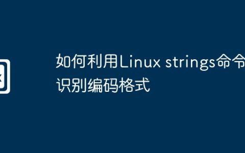 如何利用Linux strings命令识别编码格式