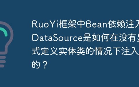 RuoYi框架中Bean依赖注入：DataSource是如何在没有显式定义实体类的情况下注入的？