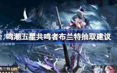鸣潮五星共鸣者布兰特抽取建议-鸣潮五星共鸣者布兰特要不要抽