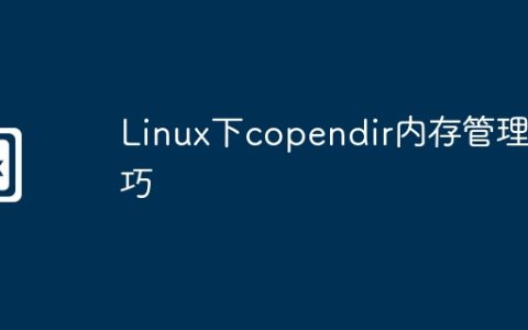 Linux下copendir内存管理技巧