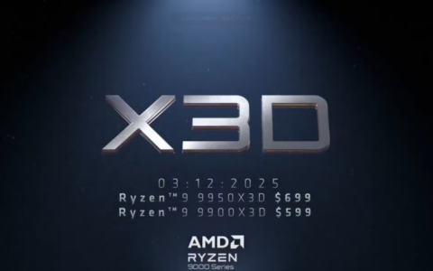 AMD 9900X3D/9950X3D 3月12日上市！价格不变！