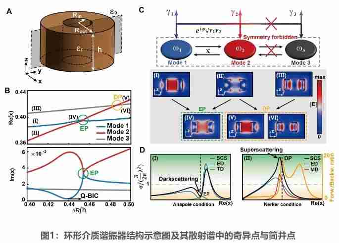 Science子刊!哈工程团队为光-物质相互作用调控开辟新维度