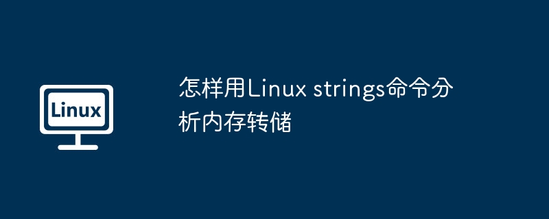 怎样用Linux strings命令分析内存转储