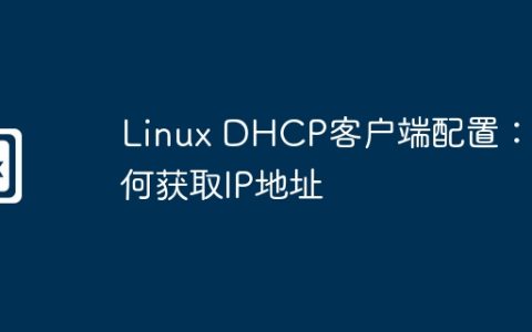 Linux DHCP客户端配置：如何获取IP地址