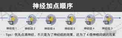尘白禁区恩雅澜风神经加点攻略-尘白禁区如何为恩雅澜风神经分配属性点