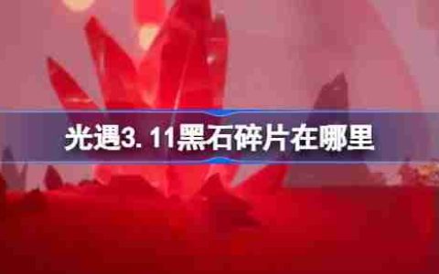 光遇3.11黑石碎片在哪里 光遇3月11日黑石碎片位置攻略