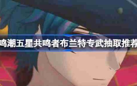 鸣潮五星共鸣者布兰特专武抽取推荐 鸣潮五星共鸣者布兰特专武是否值得入手