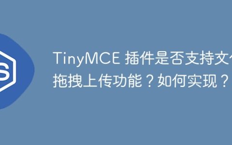 TinyMCE 插件是否支持文件拖拽上传功能？如何实现？