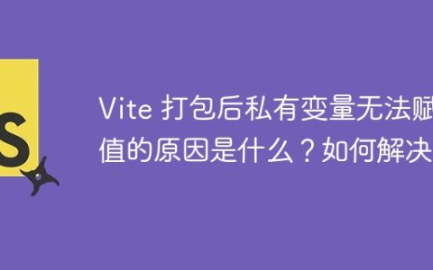 Vite 打包后私有变量无法赋值的原因是什么？如何解决？