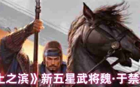 率土之滨于禁实战评测 新五星防御型武将培养指南
