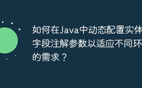 如何在Java中动态配置实体类字段注解参数以适应不同环境的需求？