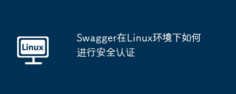swagger在linux环境下如何进行安全认证