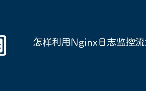 怎样利用Nginx日志监控流量