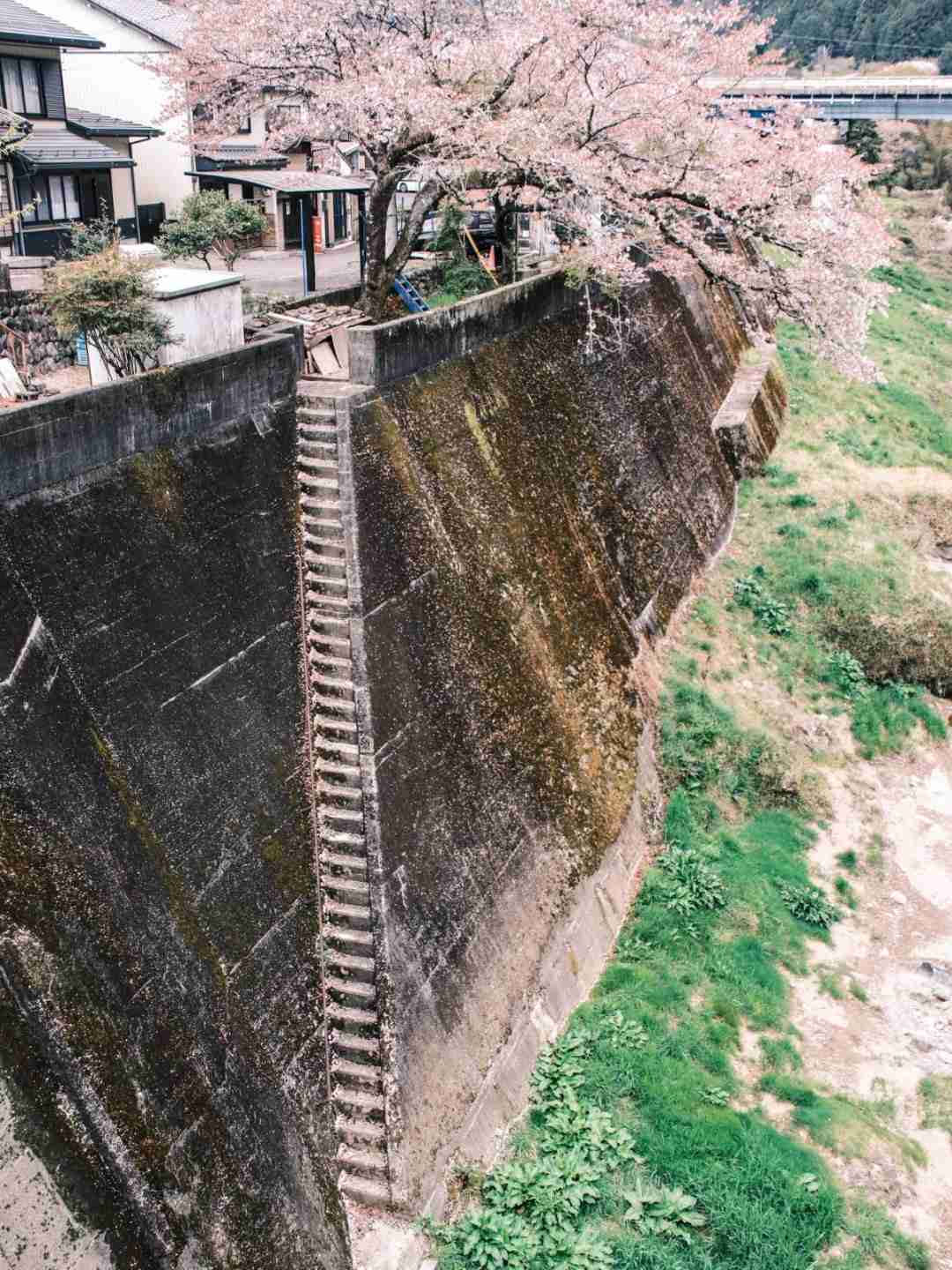 真实与恐怖的融合!《寂静岭f》取材岐阜金山町 网友分享当地老照片