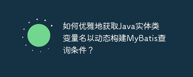 如何优雅地获取java实体类变量名以动态构建mybatis查询条件?