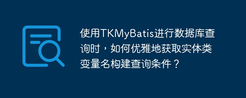 使用TKMyBatis进行数据库查询时，如何优雅地获取实体类变量名构建查询条件？