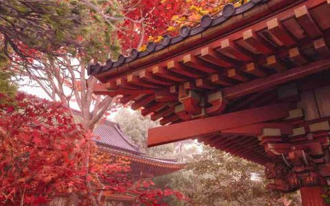 战国画卷！《刺客信条：影》精美风景截图欣赏
