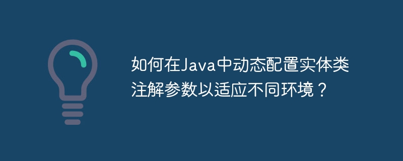 如何在Java中动态配置实体类注解参数以适应不同环境?