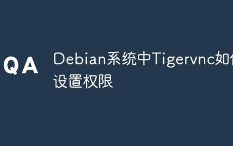 Debian系统中Tigervnc如何设置权限