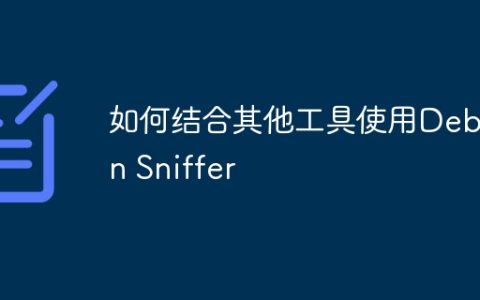 如何结合其他工具使用Debian Sniffer