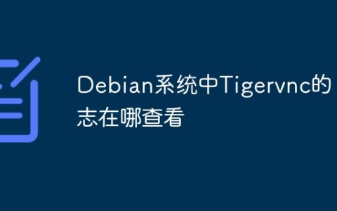 Debian系统中Tigervnc的日志在哪查看