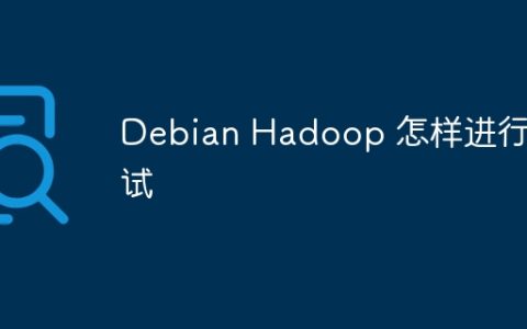 Debian Hadoop 怎样进行测试