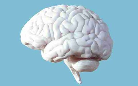 最新研究显示：人类的整体智力水平正在逐年下降！