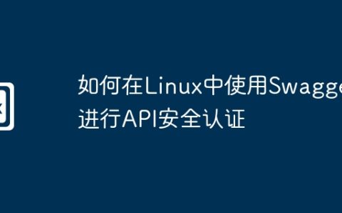 如何在Linux中使用Swagger进行API安全认证