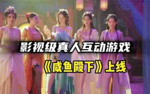 咸鱼殿下圣光补丁怎么去